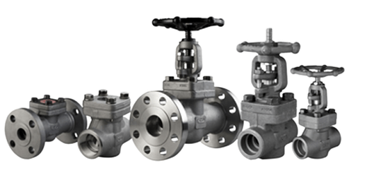 BFE forged valves