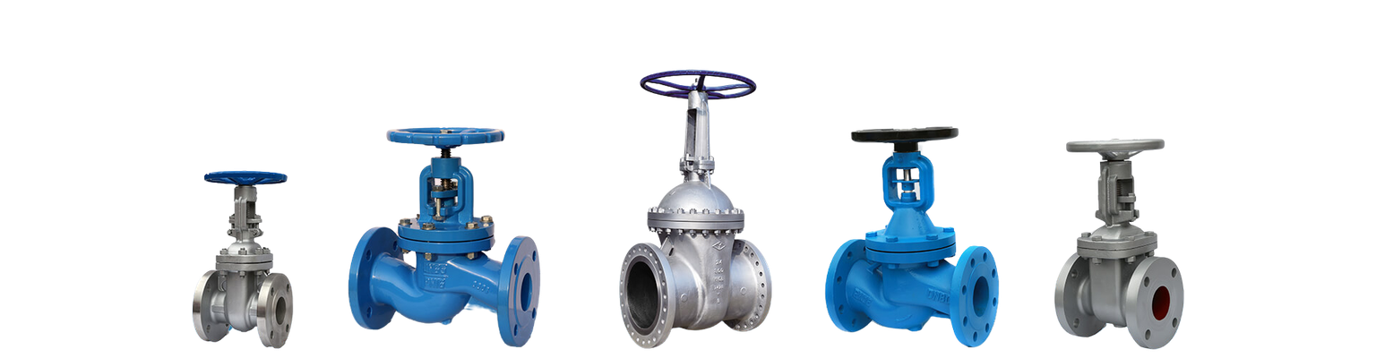 Lixin gate and globe valves